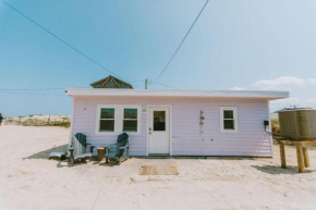 NH337D Coastal Dunes 4